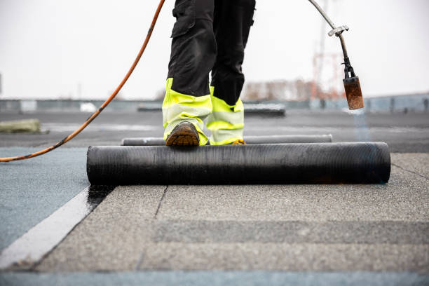 Best Asphalt Shingle Roofing  in Murfreesboro, AR